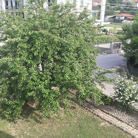 Il Melo Di Titta